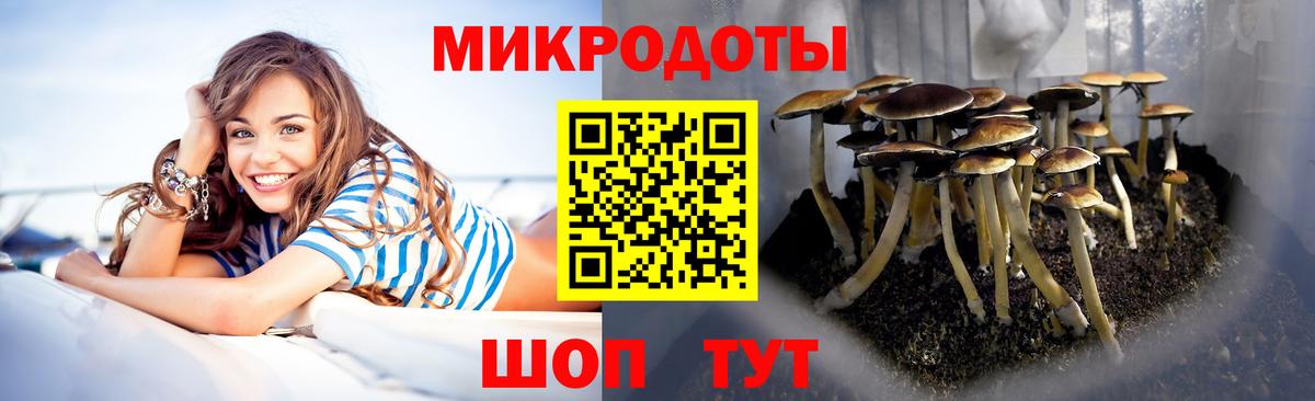 Кохма  Псилоцибиновые грибы Cubensis  Вход с VPN  Галлюциногенные грибы Cubensis 